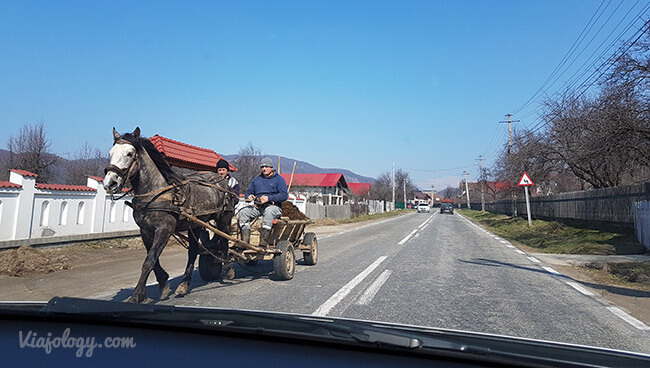 Carros tirados por caballos en las carreteras rumanas